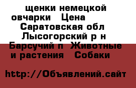 щенки немецкой овчарки › Цена ­ 5 000 - Саратовская обл., Лысогорский р-н, Барсучий п. Животные и растения » Собаки   